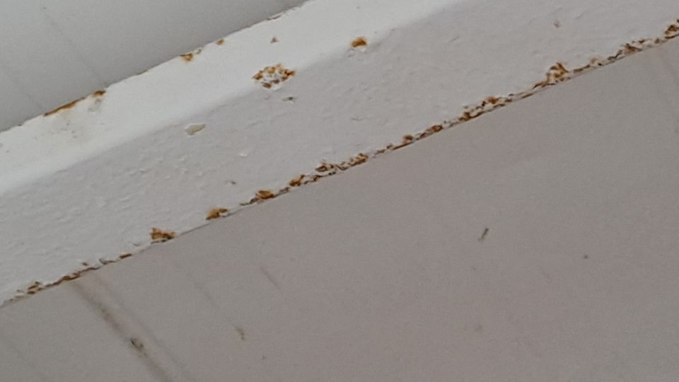 2. Poškodený náter so začínajúcou koróziou kovových konštrukcií v chladiarenskom sklade na mäso v zázemí.