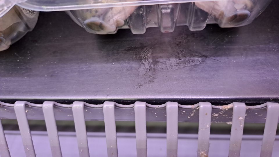 6. Chladiace zariadenie na predajnej ploche na uchovávanie rýb bolo znečistené prachom a bielou plesňou.