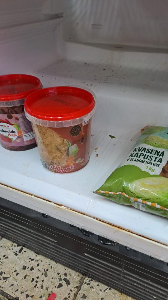 2. 1x znečistené chladiace zariadenie v predajni na uchovávanie zeleniny znečistená ložná plocha, zatečená, nečistoty, miestami s plesňou 