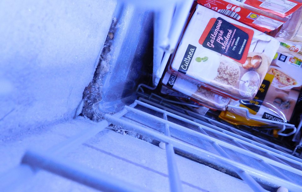 Ložná plocha viacerých mraziacich zariadení v predajnom priestore bola znečistená prachom, obalovými materiálmi, potečenou nečistotou, zvyškami potravín a mraziaci box na nanuky bol s prítomnosťou zvýšenej námrazy.
