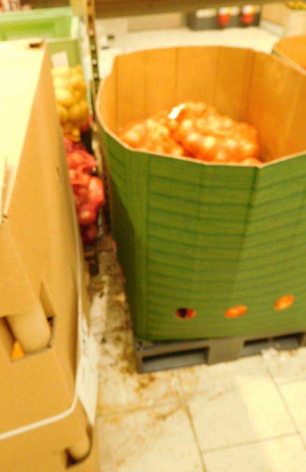 Podlaha v časti dopekania mrazených polotovarov v rohu pri vstupe do mraziaceho boxu a pod umývacím drezom a podlaha v predajnom priestore v časti predaja ovocia a zeleniny bola znečistená prachom, hrubou nečistotou a zvyškami potravín.
