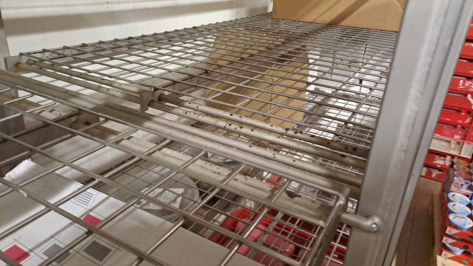 Výskyt plesne na regáloch v v chladiarni MOPRO.