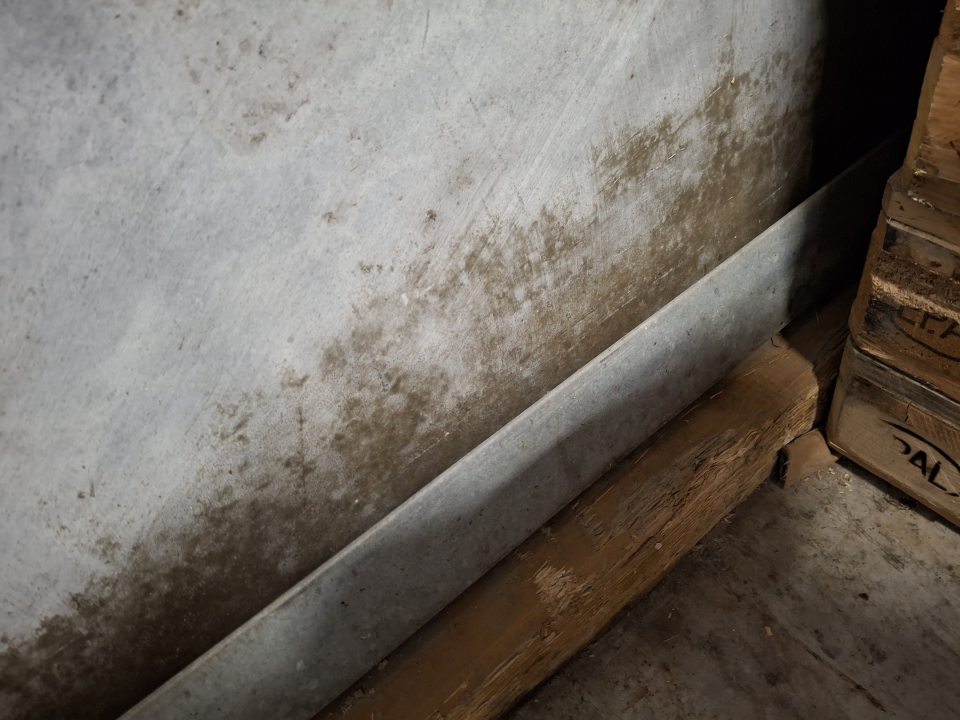 V sklade v časti príjmu tovaru v sekcii skladovania vratných obalov stena za drevenými paletami v spodnej časti v celom úseku steny znečistená čiernou špinou pripomínajúcou pleseň.