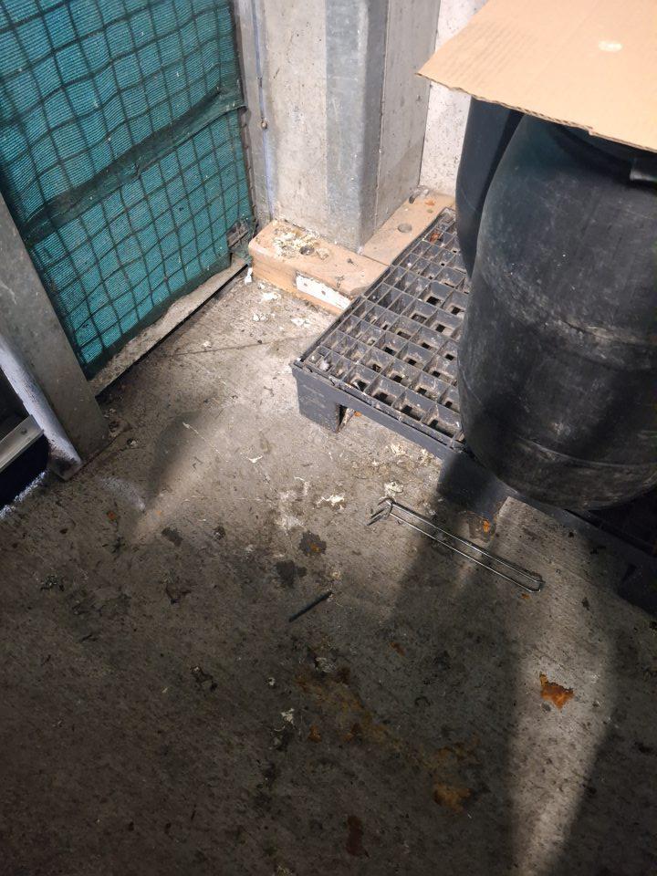 V skladovacích priestoroch podlaha silno znečistená trusom vtákov(holubov).