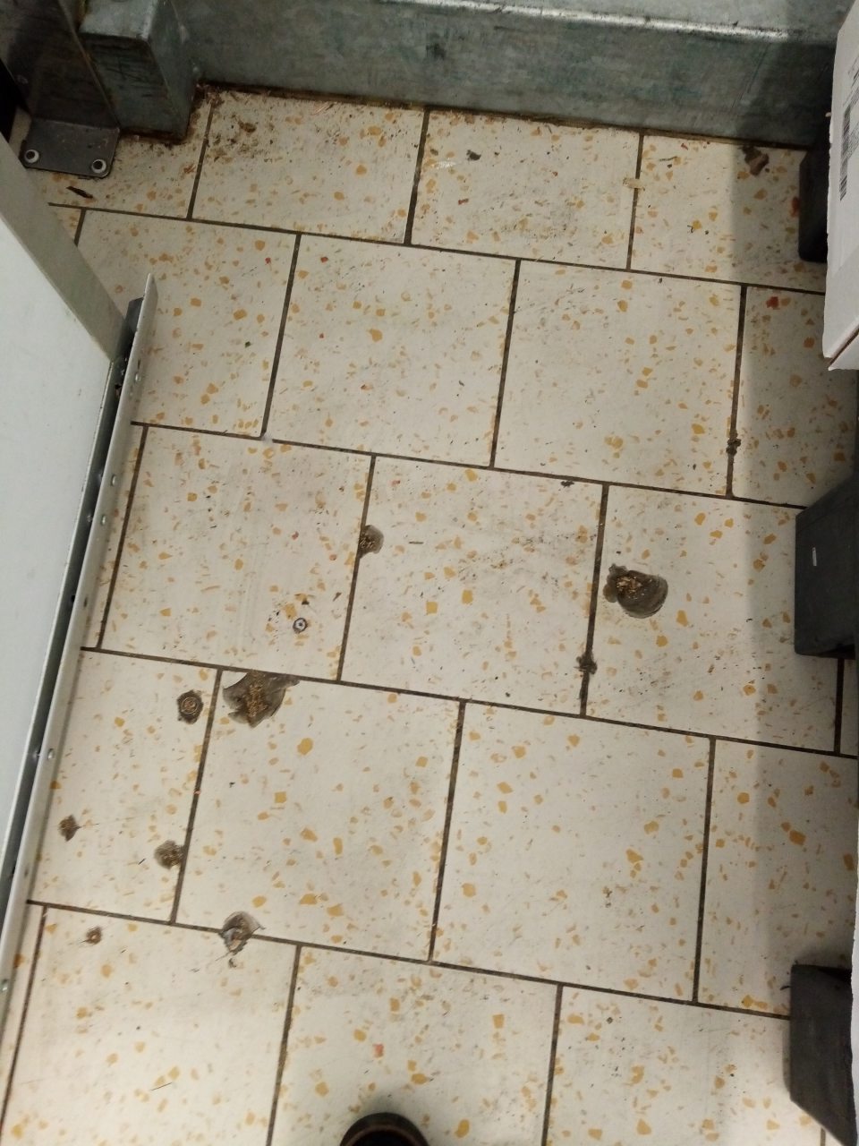 Poškodená podlaha (dlaždice) chladiaceho boxu určeného pre chladené mäso v skladových priestoroch