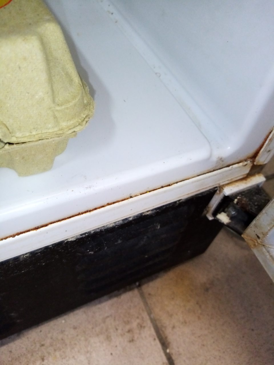 Chladnička na predajnej ploche urćená na predaj vajec, mliečnych výrobkov, bagiet znečistená, spodná časť chladničky je poškodená hrdzou. 