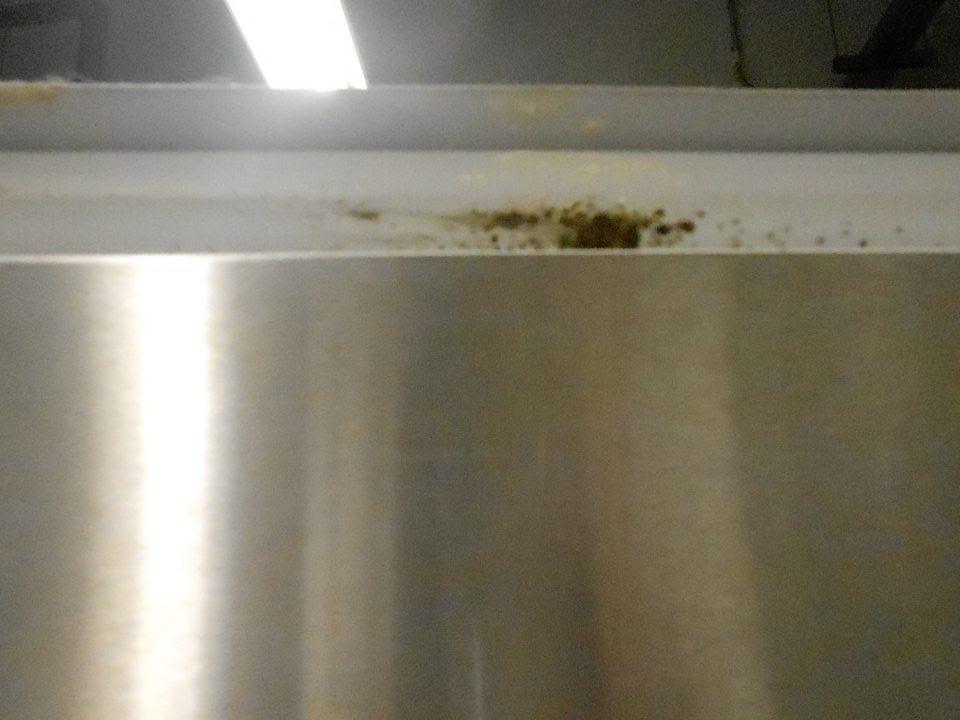 Tesnenie dverí chladiaceho boxu určeného na skladovanie čerstvej zeleniny bolo v čase úradnej kontroly potravín znečistené, bol zistený výskyt plesne.