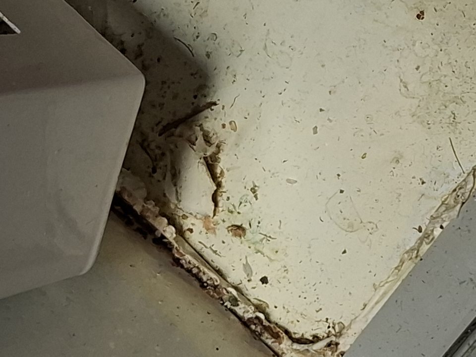 V skladových priestoroch v chladiacom boxe 3b s uskladnenými slepačími vajcami - znečistenie úložnej plochy v spodnej časti.