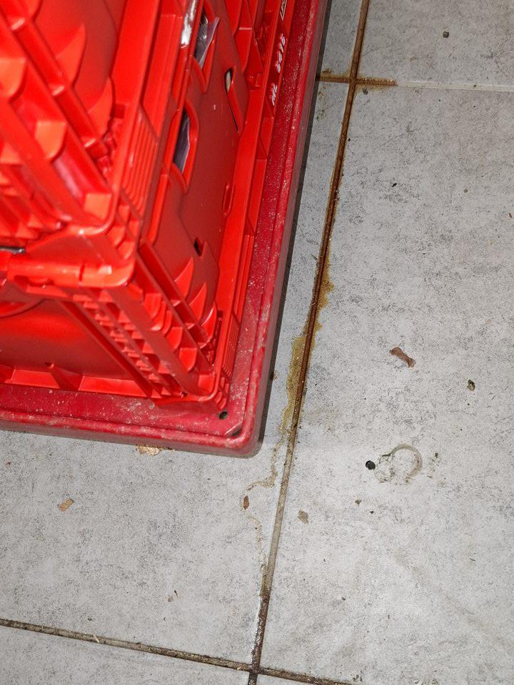 V chladenom sklade mäsa v chladiacom boxe znečistená podlaha.