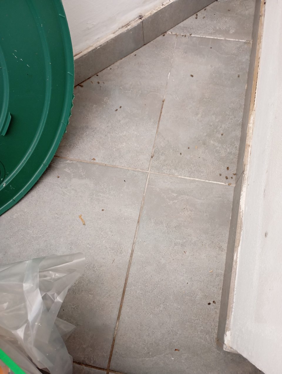 Zistená prítomnosť uhynutého hmyzu v miestnosti, kde boli uskladnené vratné obaly, ktorá priamo komunikovala so skladom potravín, nakoľko sa dvere nedali zavrieť.