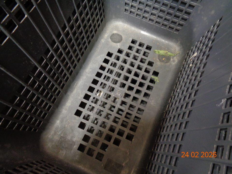 Znečistená vnútorná plocha umelohmotného nákupného košíka na kolieskach prachom, zaschnutou špinou a zaschnutými zvyškami listovej zeleniny.