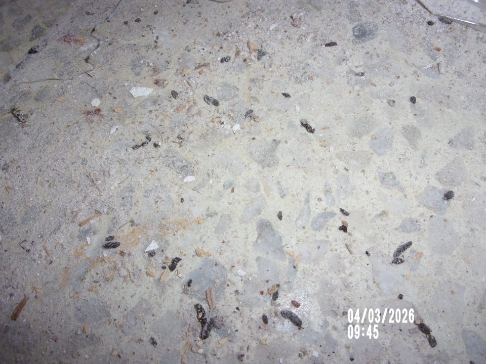 Návrh na správne konanie - pokuta