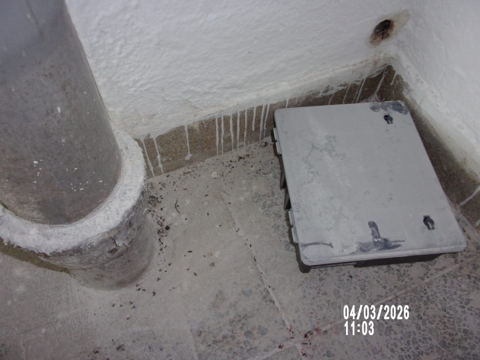 Výskyt trusu hlodavcov na schodisku vedúcom k silu skladovanej múky.