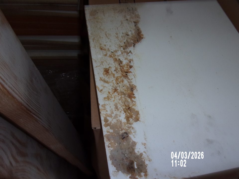 Výskyt trusu hlodavcov na palete s drevotrieskovými doskami v časti skladovania obalového materiálu.