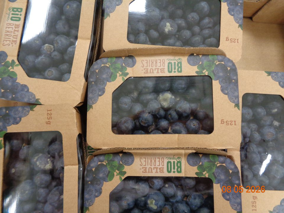 Ovocie „BIO čučoriedky“ s výskytom plesne na jednotlivých plodoch v celkovej hmotnosti 1,50 kg. 