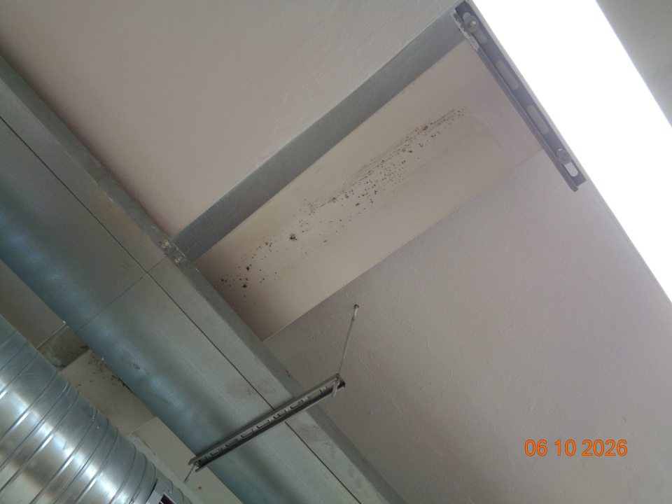 Výskyt plesne na ochrannom kryte pre chladiace potrubie pod stropom na predajnej ploche prevádzky.