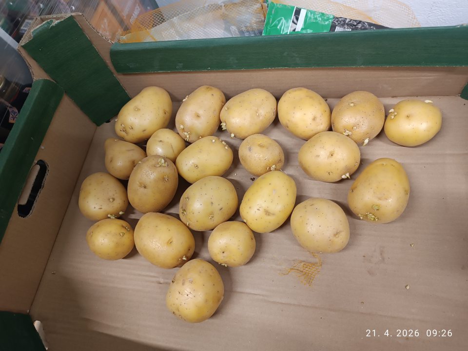 V ponuke predaja sa nachádzali tri druhy zemiakov nevhodných na ľudskú spotrebu (zelené alebo nakličené hľuzy).