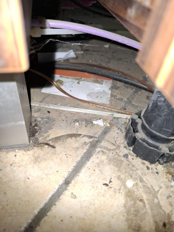 Znečistená podlaha v prevádzkových priestoroch.