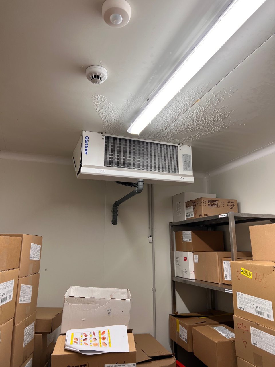 V mraziarenskom sklade pečiva zistená prítomnosť námrazy na strope a na osvetlení, pod ktorými sa nachádzali v kartónových obaloch hlbokozmrazené potraviny.