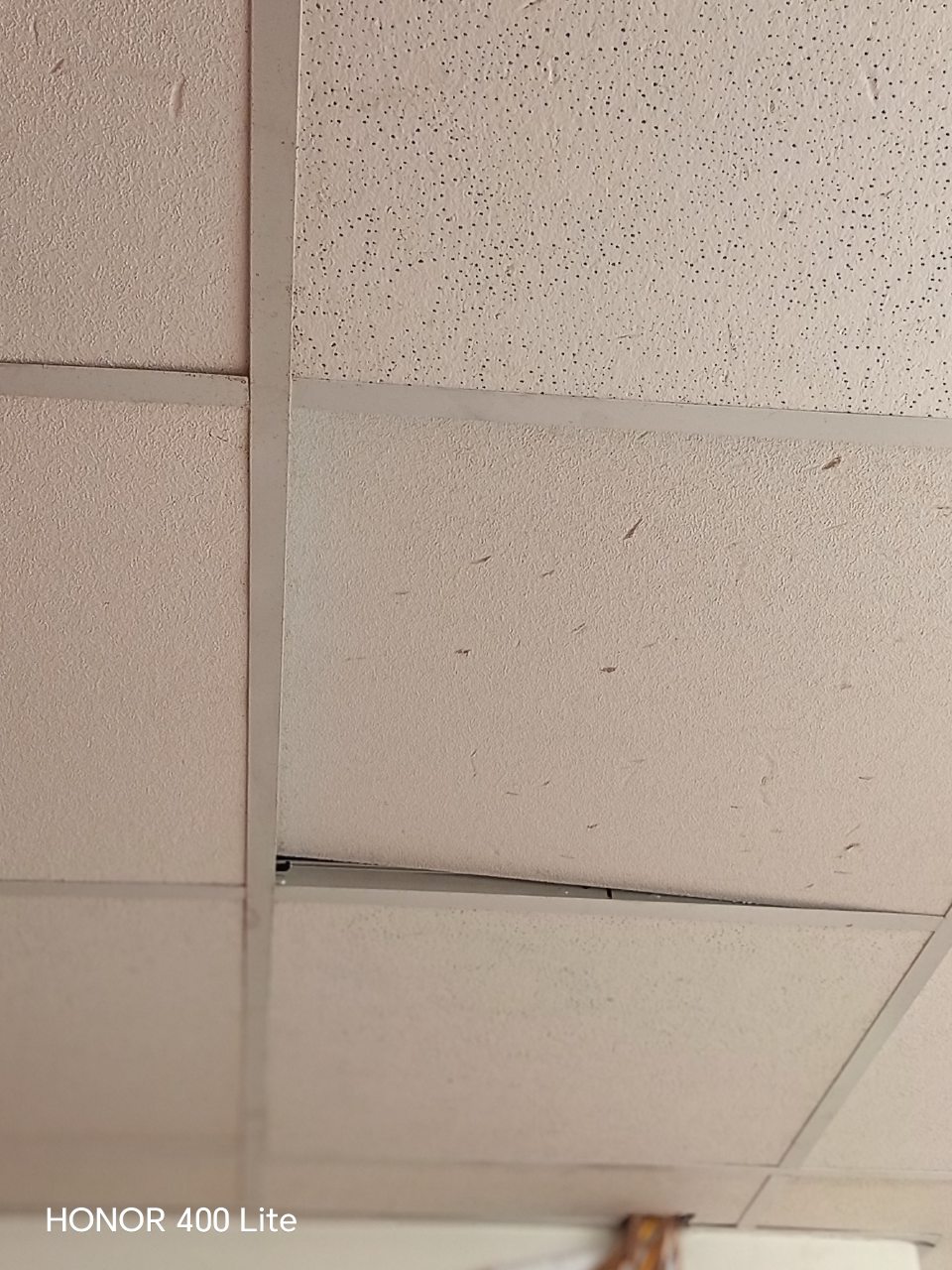 Poškodené stropné kazety pri chladiacich boxoch