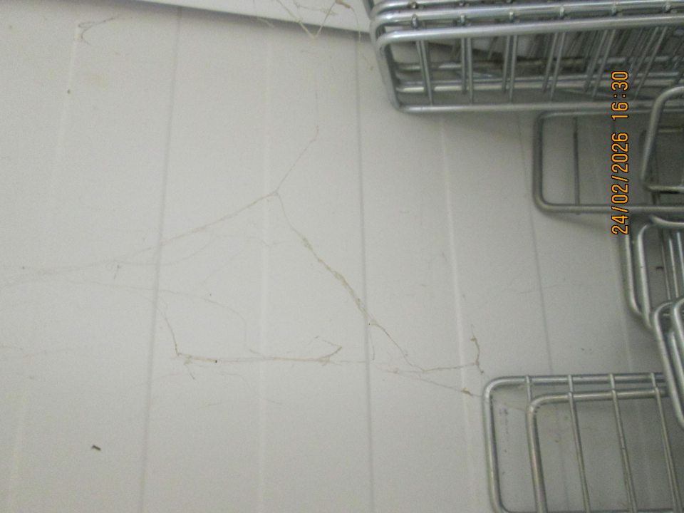 zistený výskyt pavučín za chladiacim zariadením určeným na uchovávanie chladenej zeleniny a ovocia v rozsahu 3 m x 40 cm