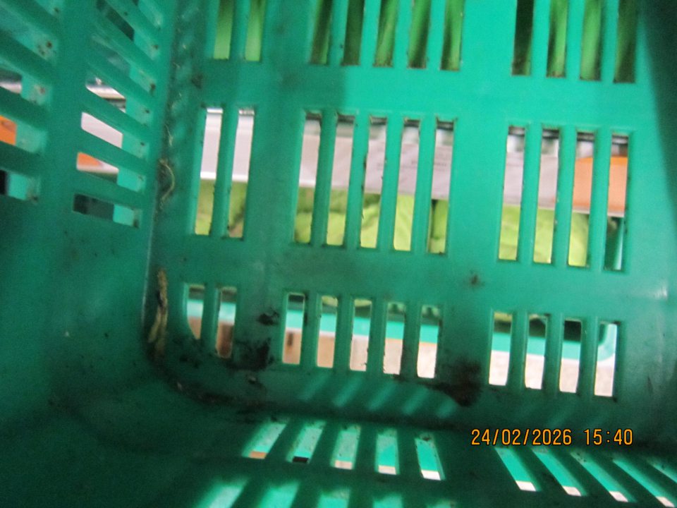 zistený výskyt starších nečistôt prachu a vysušených biologických zvyškov, zvyšky fólie a to na dne prepravky, po jej obvode a medzi mriežkami plastovej prepravky -  v počte 4 kusy prepraviek -  s uloženým petržlenom, pórom a čínskou kapustou, v prepravke s uloženými banánmi a v prepravke s kapustou skorou. V prepravkách bol tiež zistený výskyt plesne z vonkajšej strany v dvoch  prepravkách – s uloženým petržlenom a uloženým pórom a čínskou kapustou