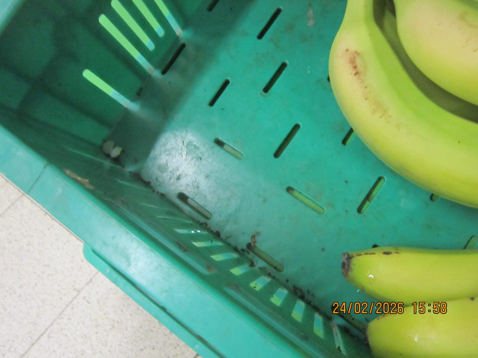 zistený výskyt starších nečistôt prachu a vysušených biologických zvyškov, zvyšky fólie a to na dne prepravky, po jej obvode a medzi mriežkami plastovej prepravky -  v počte 4 kusy prepraviek -  s uloženým petržlenom, pórom a čínskou kapustou, v prepravke s uloženými banánmi a v prepravke s kapustou skorou. V prepravkách bol tiež zistený výskyt plesne z vonkajšej strany v dvoch  prepravkách – s uloženým petržlenom a uloženým pórom a čínskou kapustou