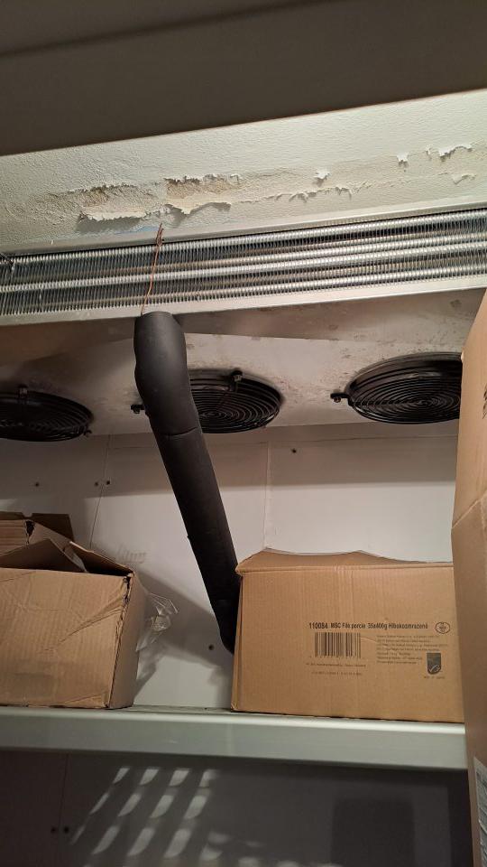 1. Poškodená a opadávajúca omietka na viacerých miestach v mraziarenskom boxe v zázemí.