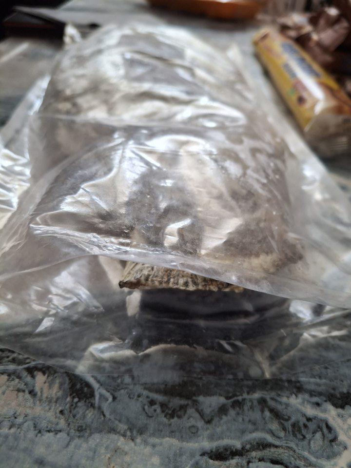 Predaj hlbokozmrazených potravín s poškodeným obalom: 1. Kapor polený hlbokozmrazený, 1 ks, krajina pôvodu: Česká republika, 0,900 kg, celková cena: 9,90 eur/kg, distribútor: BIDFOOD Slovakia s.r.o., Nové mesto nad Váhom, minimálna trvanlivosť do: 15.10.2027.